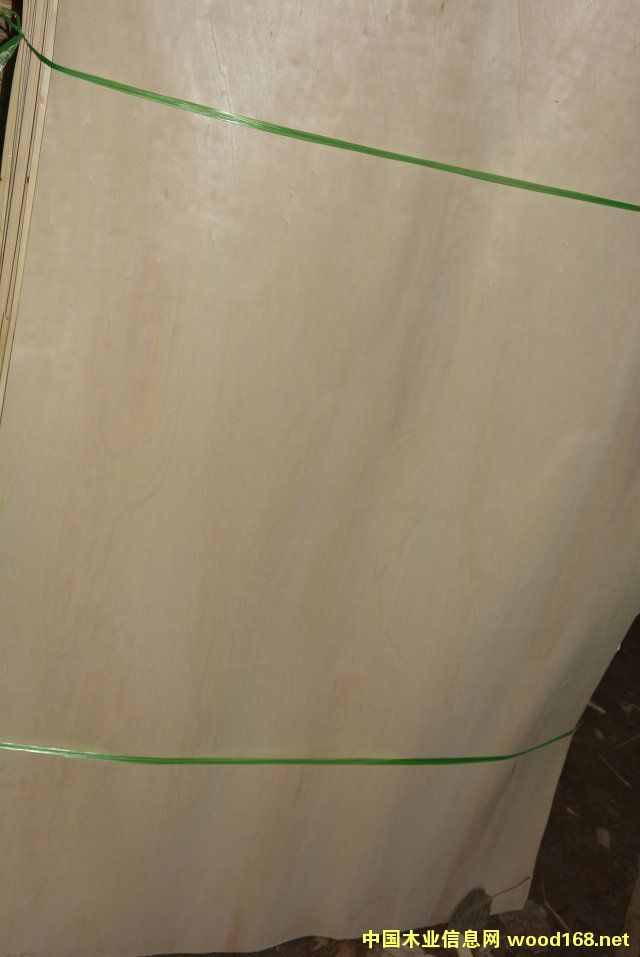 ���ח�ľо���Ԕ��(x��)��B