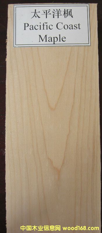 ̫ƽ�����Ԕ��(x��)��B