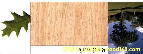 �t���Ԕ��(x��)��B