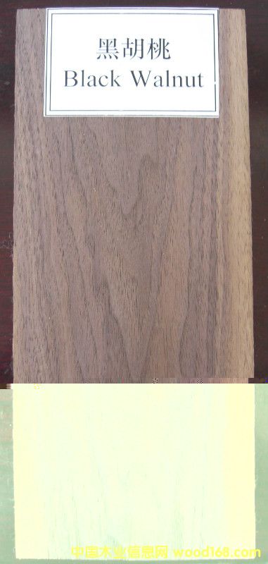 �ں��ҵ�Ԕ��(x��)��B