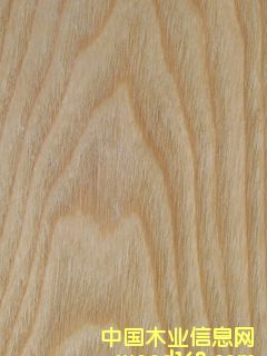 �c(di��n)���鿴��˨ɽ�yľƤ�Ŵ�DƬ