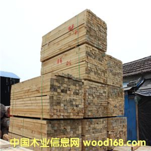 ݗ���ɽ���ľ����Ԕ��(x��)��B