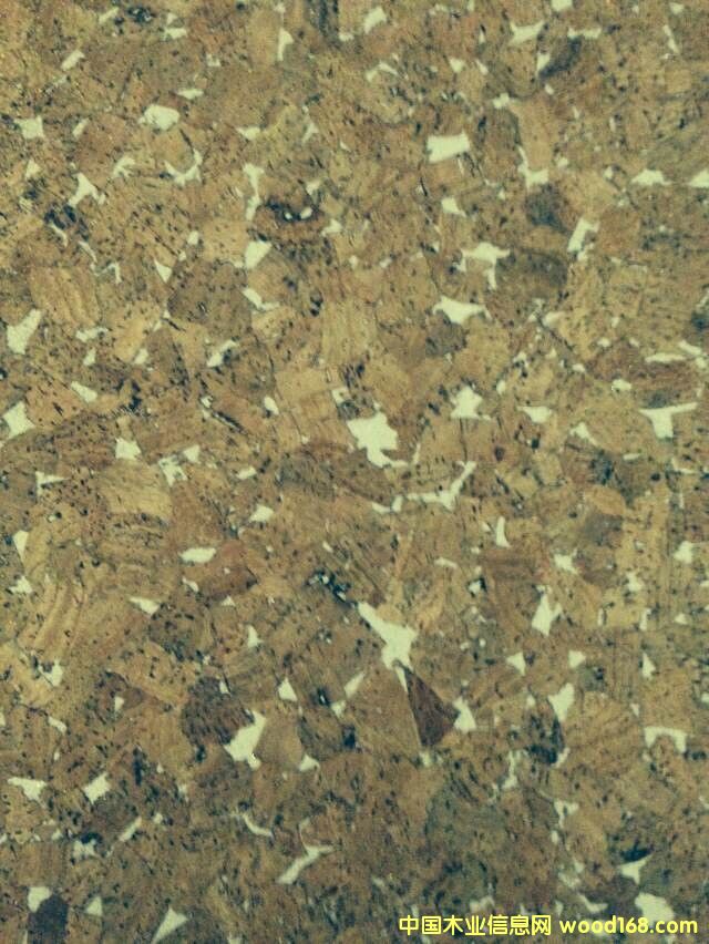 �c(di��n)���鿴���͟o(w��)��ȩܛľ����Ŵ�DƬ