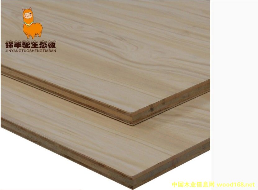 ����֮퍵�Ԕ����B