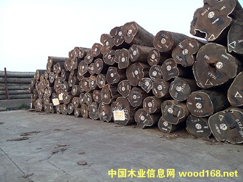 雞翅的詳細(xì)介紹