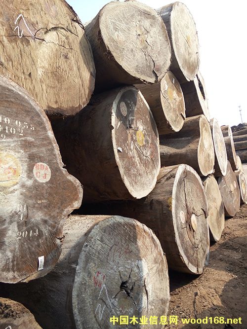 ���ވA�P�����W������Ԕ��(x��)��B