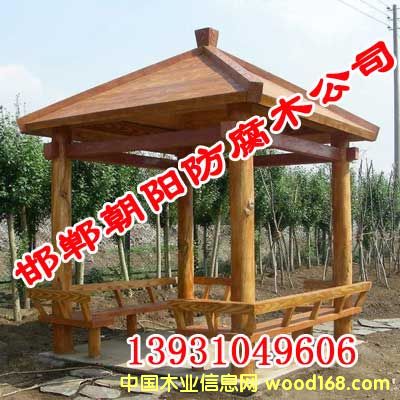 �c(di��n)���鿴����ľ��ͤ�Ŵ�DƬ