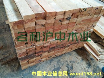 落葉松的詳細(xì)介紹