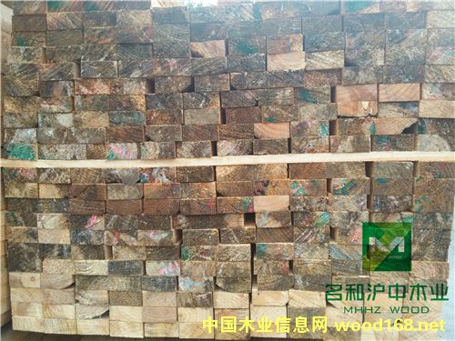 輻射松的詳細(xì)介紹