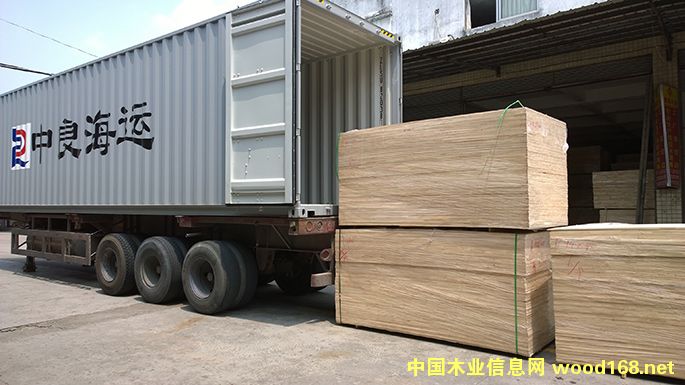 ���zľָ�Ӱ�16