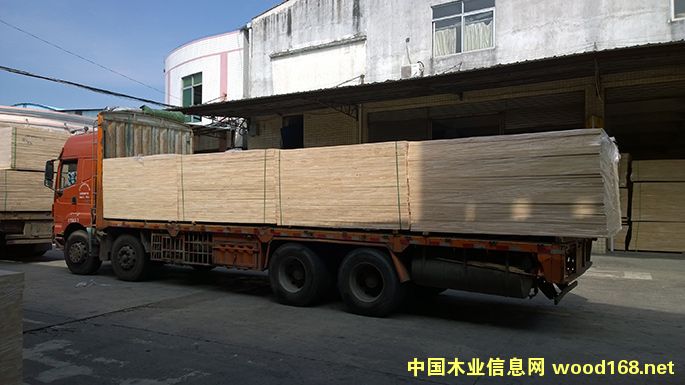 ̩�����zľָ�Ӱ�12mm