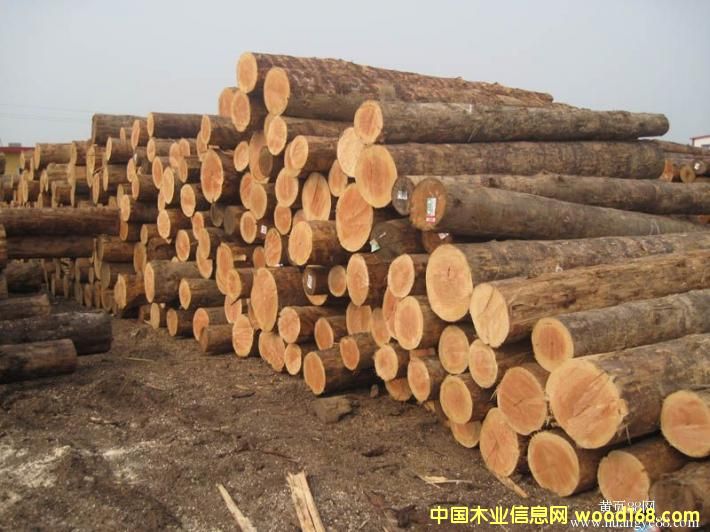 �Fɼ���W�ɵ��M(j��n)��ľ��