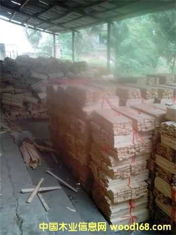 �c(di��n)���鿴ɼľ��l�Ŵ�DƬ