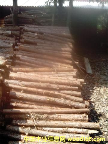 �c(di��n)���鿴ɼľ��l�Ŵ�DƬ