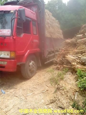 �c(di��n)���鿴ɼľ��l�Ŵ�DƬ