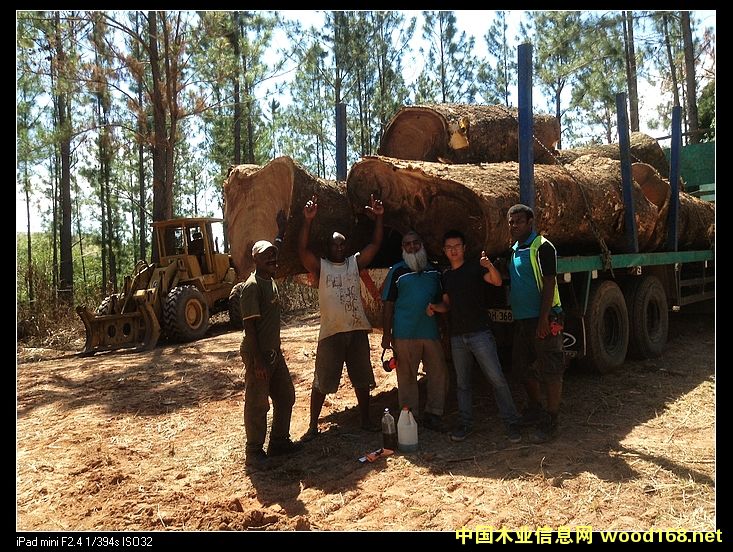 �ں��ҵ�Ԕ����B