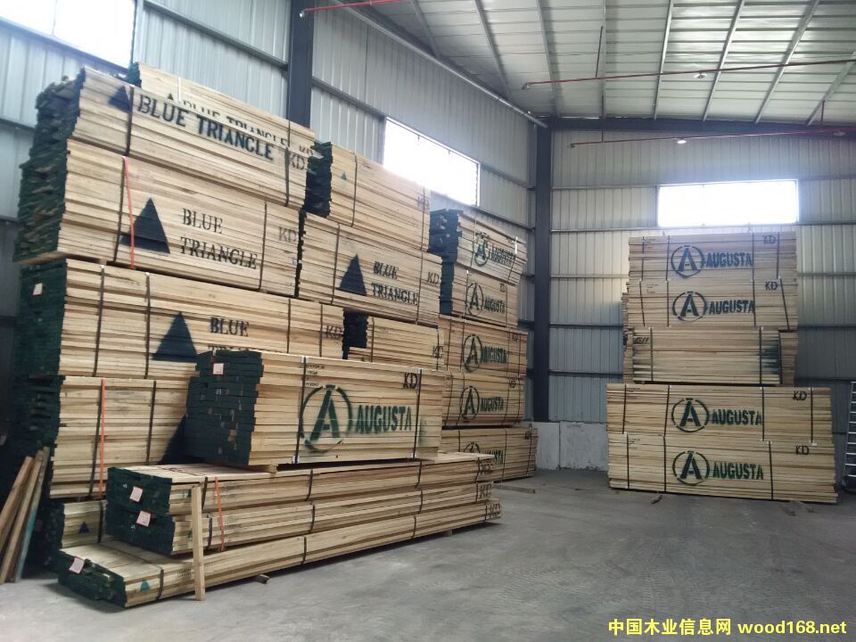 黃楊的詳細介紹