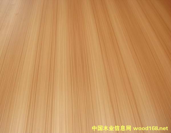 ���B(t��i)���Ԕ��(x��)��B