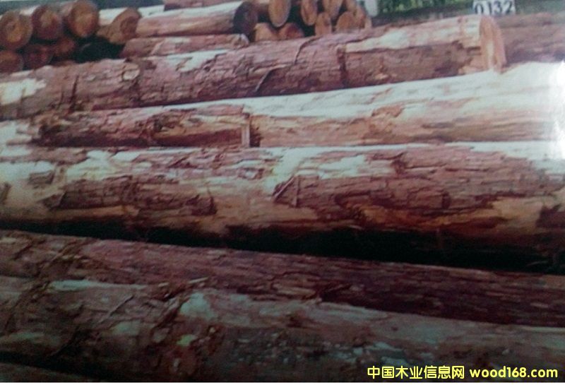 �c(di��n)���鿴���ꃞ(y��u)�|(zh��)ɼľ�Ŵ�DƬ