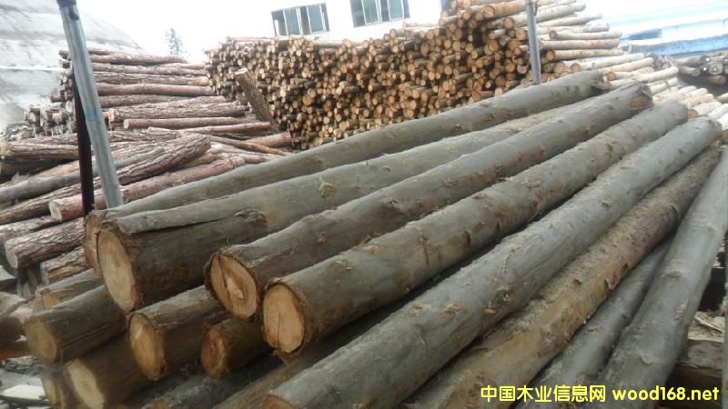 �sľ��Ԕ����B