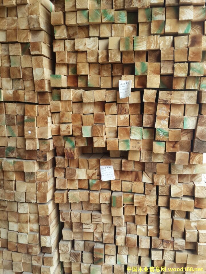 �d����ľ�I(y��)����(y��ng)��(y��u)�|(zh��)�M(j��n)�����zľ���l��Ԕ��(x��)��B