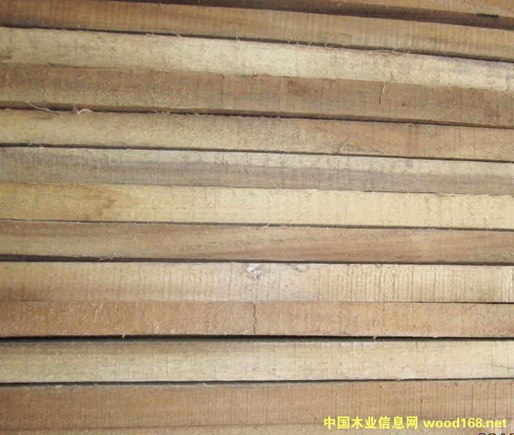 �c(di��n)���鿴��˼ľ�Ŵ�DƬ