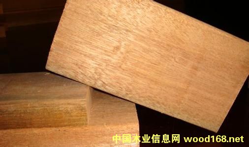 �c(di��n)���鿴����ľ�Ŵ�DƬ