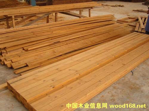 �c(di��n)���鿴̿��ľ�Ŵ�DƬ