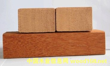 �c(di��n)���鿴����˹�Ŵ�DƬ