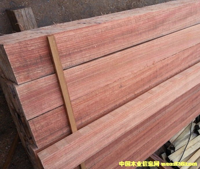 �c(di��n)���鿴����ľ�Ŵ�DƬ