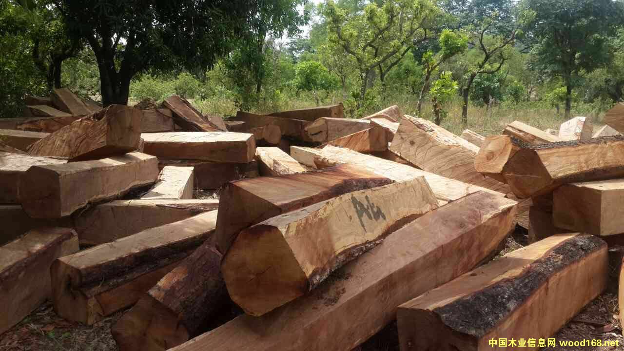 ���������������Ԕ����B