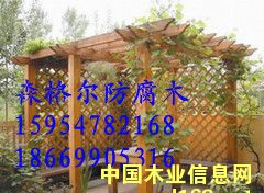 �c���鿴�R�ʷ���ľ���ܷŴ�DƬ