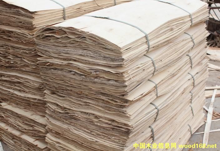 �c���鿴��ľ�ΰ�Ŵ�DƬ