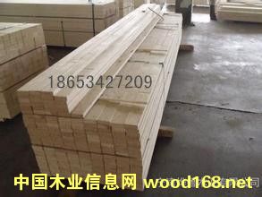 �c(di��n)���鿴��Ѭ��ľ���Ŵ�DƬ