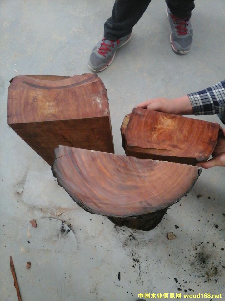 �c���鿴С�~�t̴�Ŵ�DƬ