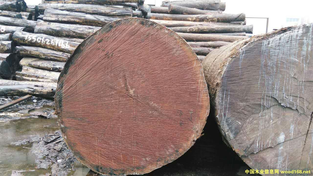 �c���鿴�����������ľ�Ŵ�DƬ