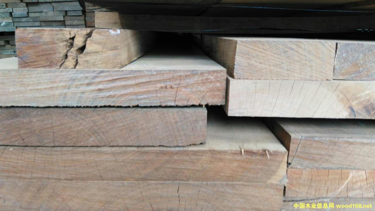 �c���鿴���޺���ľ�Ŵ�DƬ