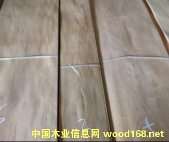 ����(gu��)���ҵ�Ԕ��(x��)��B