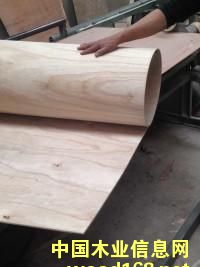 �������Ԕ����B