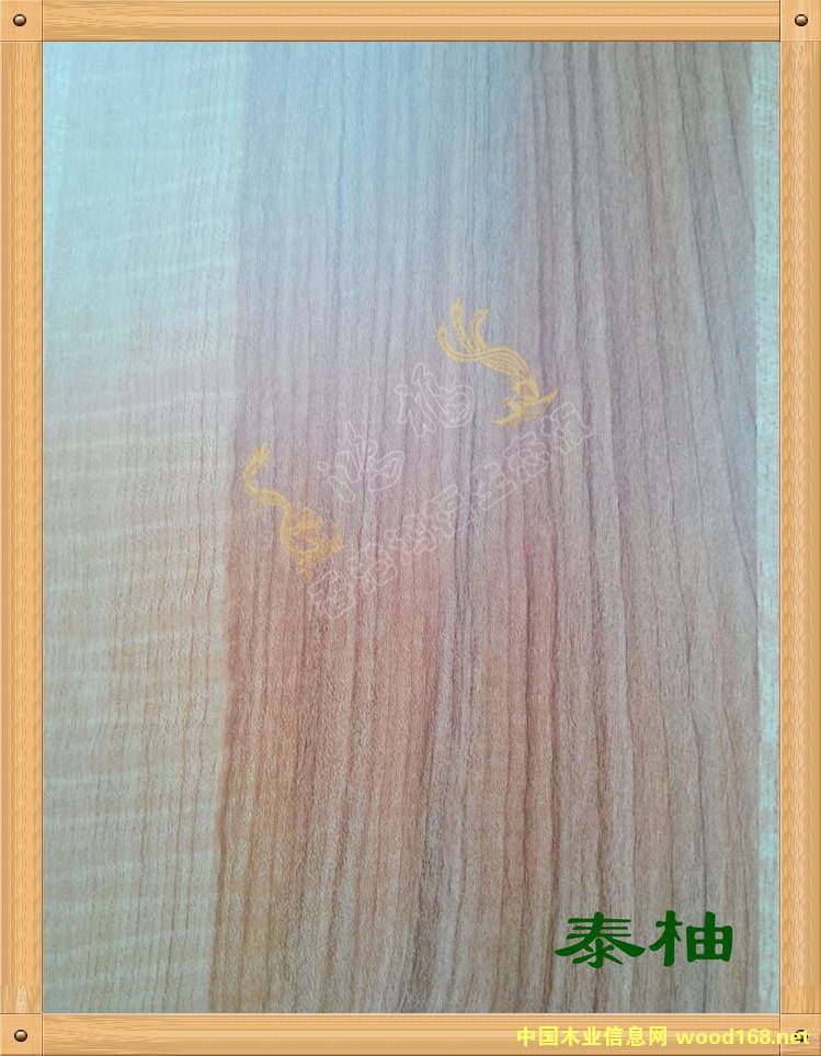 ����������B(t��i)��-̩�ֵ�Ԕ��(x��)��B