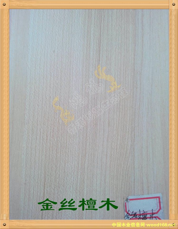 ����������B(t��i)��-��z̴ľ