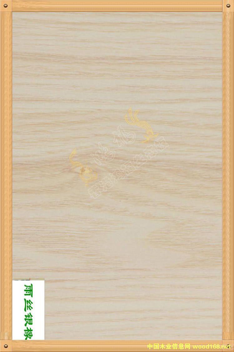 ����������B(t��i)��-��z�y���Ԕ��(x��)��B