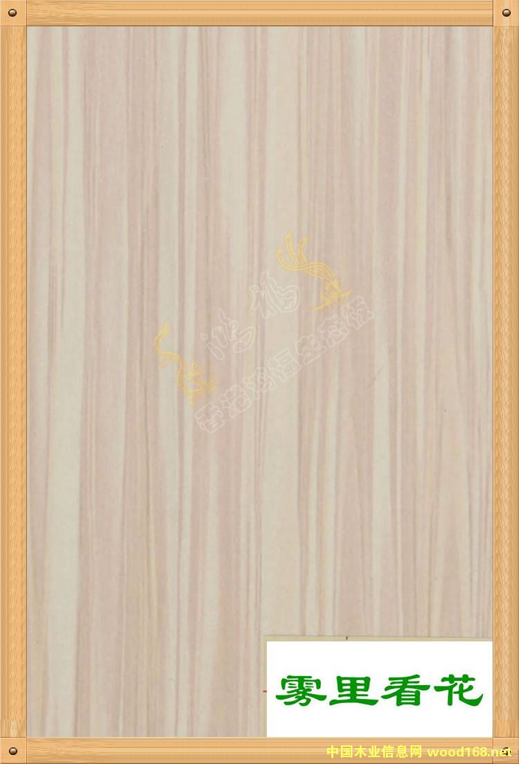 ����������B(t��i)��-�F�￴����Ԕ��(x��)��B