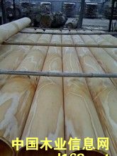 ݗ������Ƥ��Ԕ����B