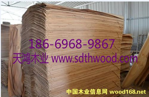 ݗ���ɊA��Ƥ��Ԕ����B