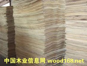 ݗ������ƴ��ƴ��Ԕ����B