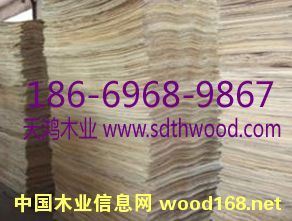 ݗ���ɊA��Ƥ��ƴ��ƴ��Ԕ����B