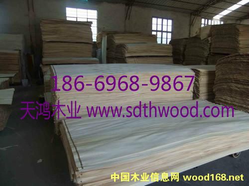 ݗ�����L(zh��ng)�а�