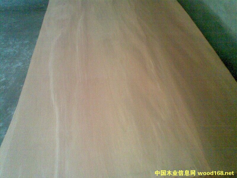 �c(di��n)���鿴�ΰ�ľƤ�Ŵ�DƬ