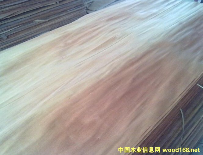 �c(di��n)���鿴�ΰ�ľƤ�Ŵ�DƬ